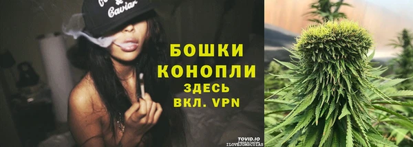 гашик Туринск