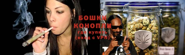 винт Тында