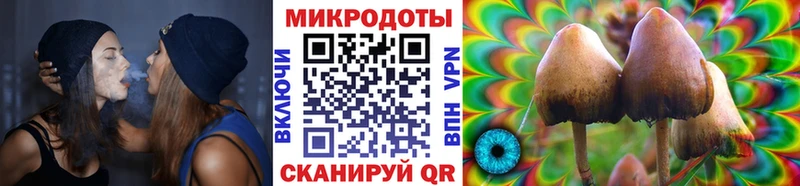 Псилоцибиновые грибы Psilocybine cubensis  мега как войти  Сорск 
